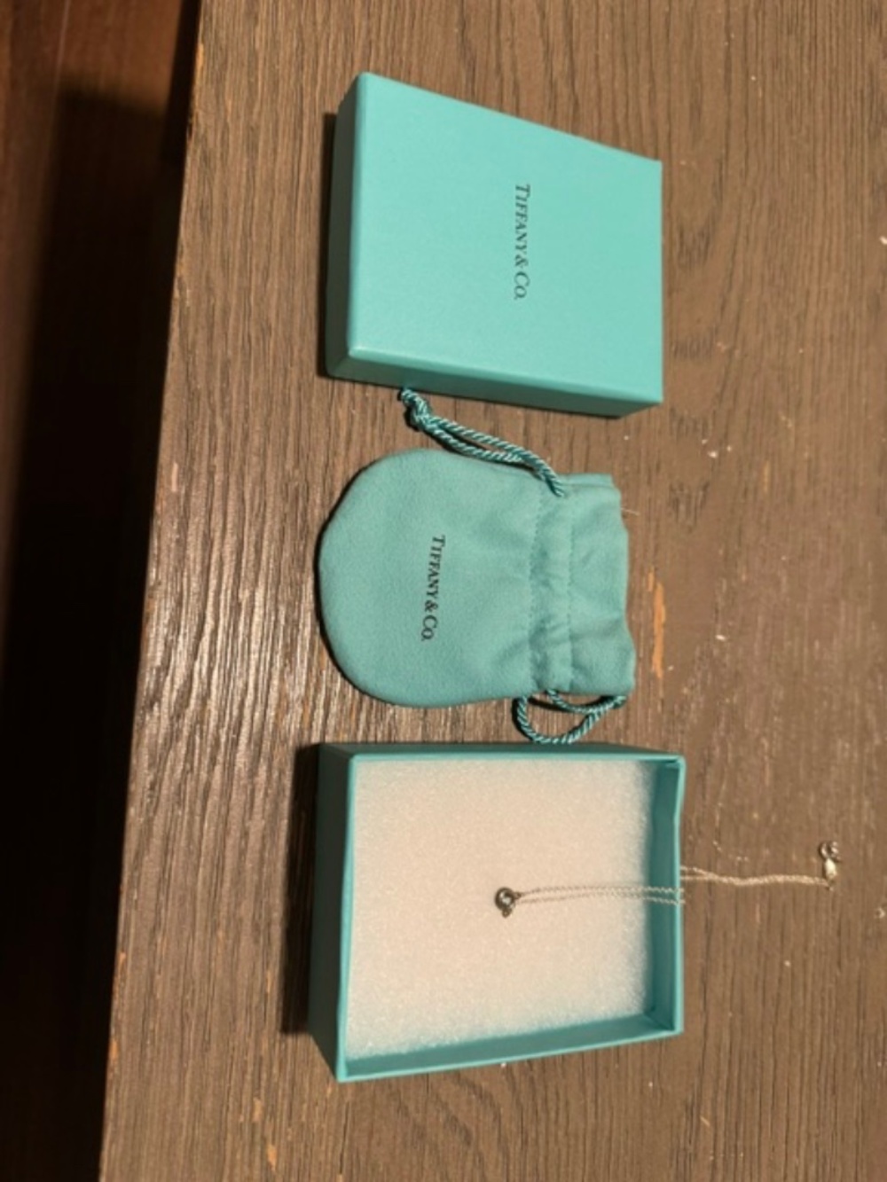 Tiffany & Co Elsa Peretti Aquamarine Sterling Silver Necklace
